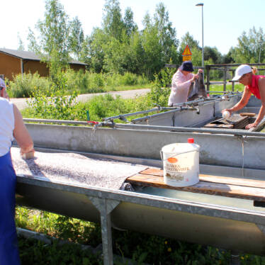 tre kvinnor tvättar mattor på mattvättplatsen.