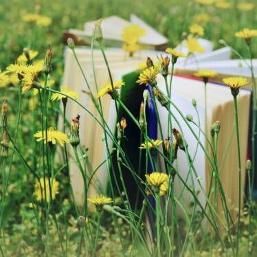 böcker i blomängen på sommaren